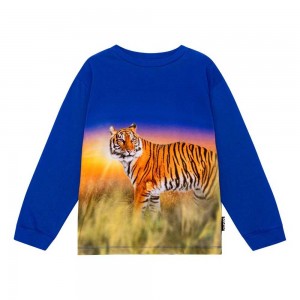 Molo Rube T Shirts Tops Pojke Tiger Reef | SE0000856