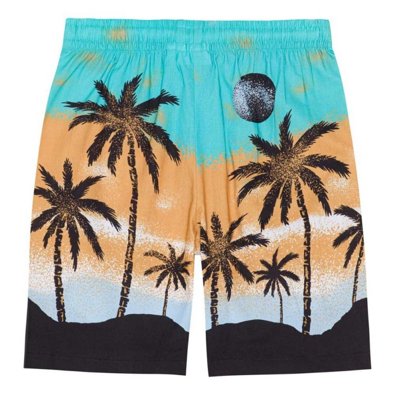 Molo Adi Shorts Pojke Holiday Island | SE0000690