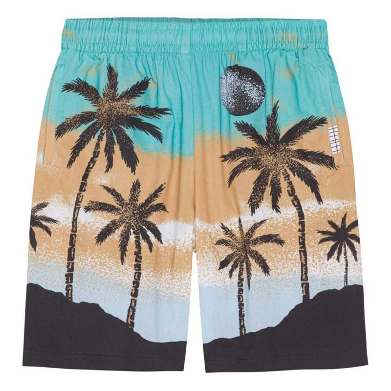 Molo Adi Shorts Pojke Holiday Island | SE0000690