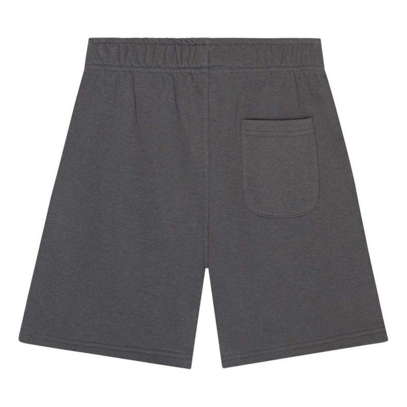 Molo Adian Shorts Pojke Iron Gate | SE0000714