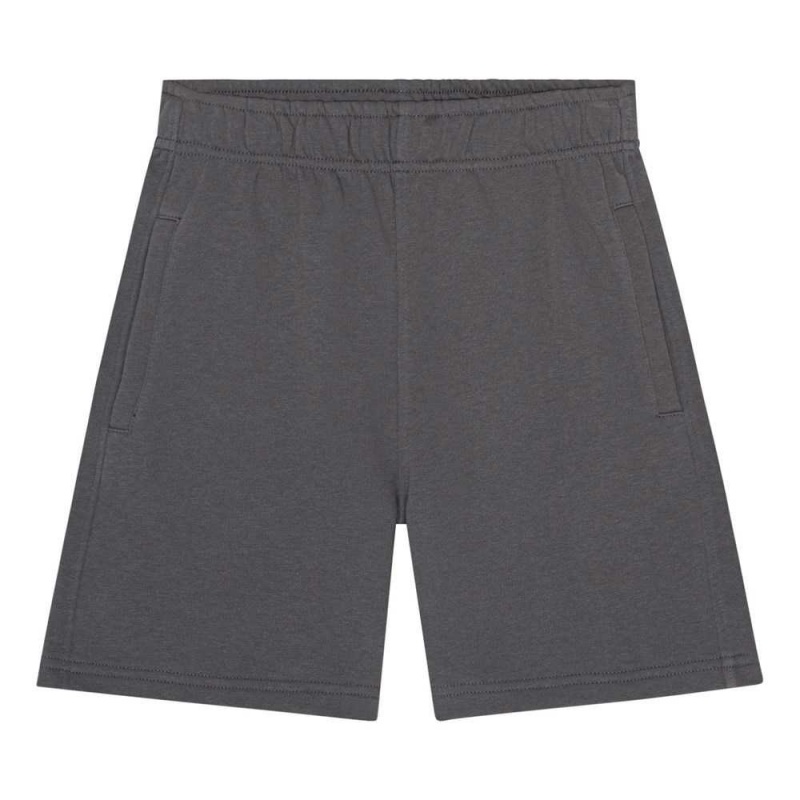 Molo Adian Shorts Pojke Iron Gate | SE0000714