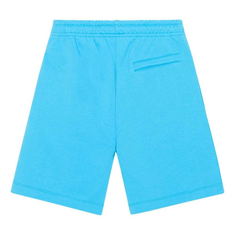 Molo Adrian Shorts Pojke Turquoise Blue | SE0000731