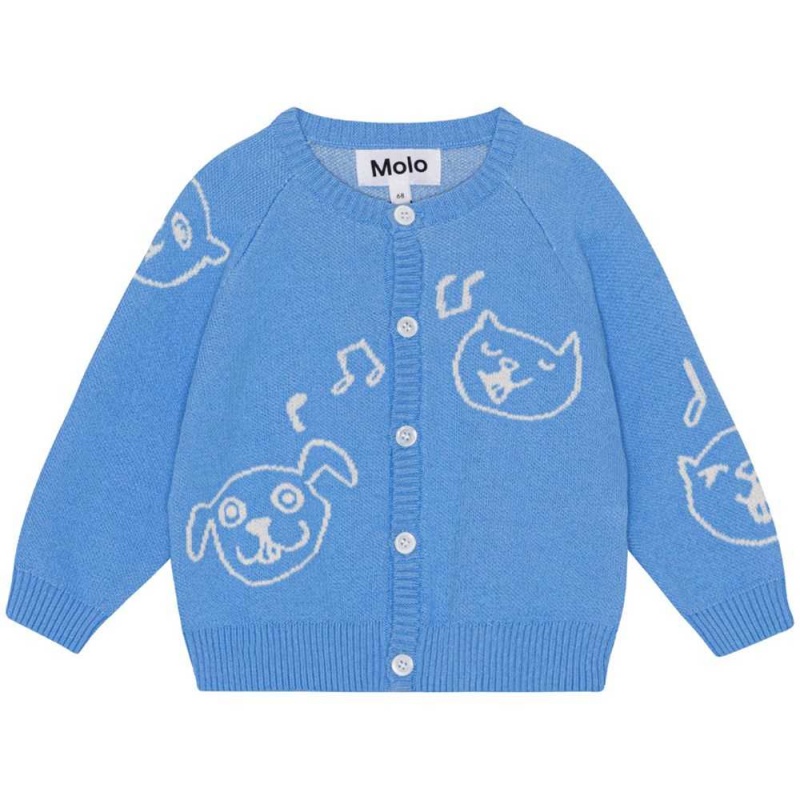 Molo Brody Sweatshirts Cardigans Pojke Forget Me Not | SE0001316