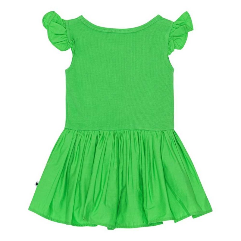 Molo Cimi Klänningar Flicka Classic Green | SE0001302