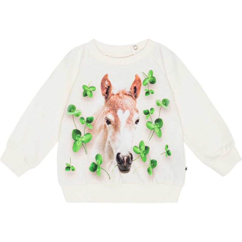 Molo Disc Sweatshirts Cardigans Flicka Clover Foal | SE0001406