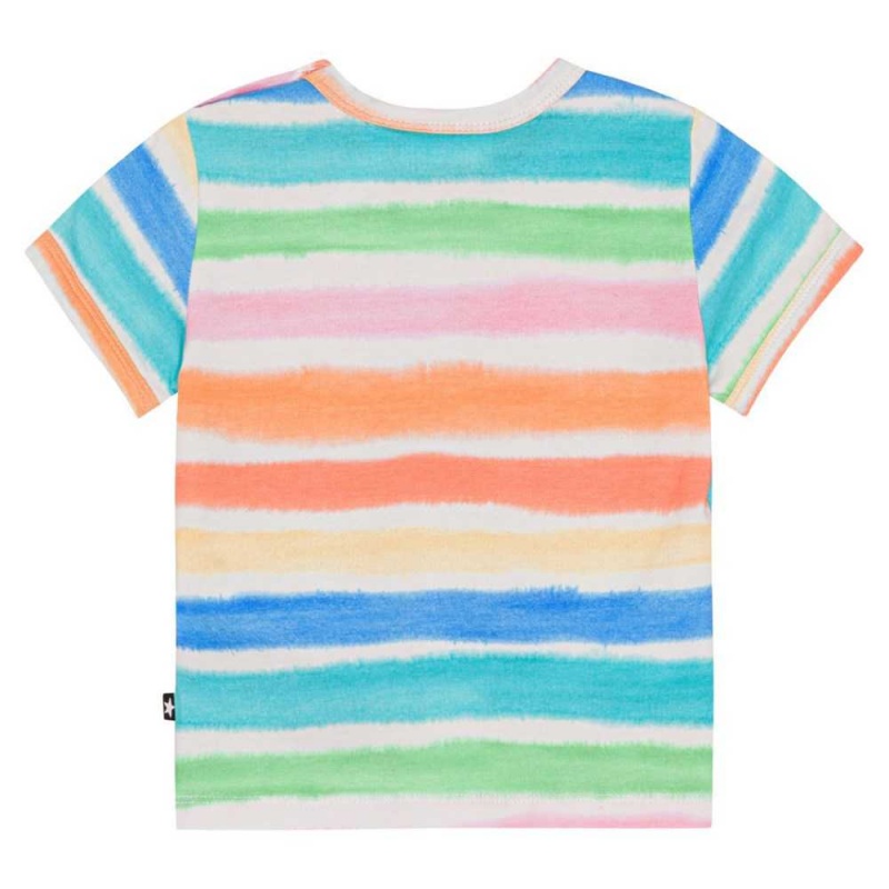 Molo Easy T Shirts Tops Pojke Multi Colours | SE0001410