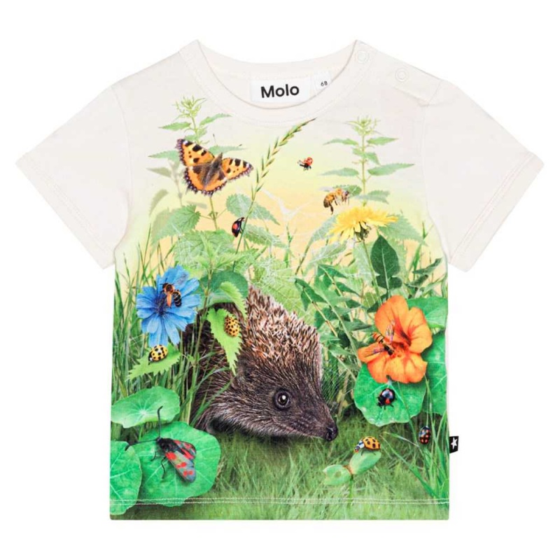 Molo Easy T Shirts Tops Flicka Living Garden | SE0001432