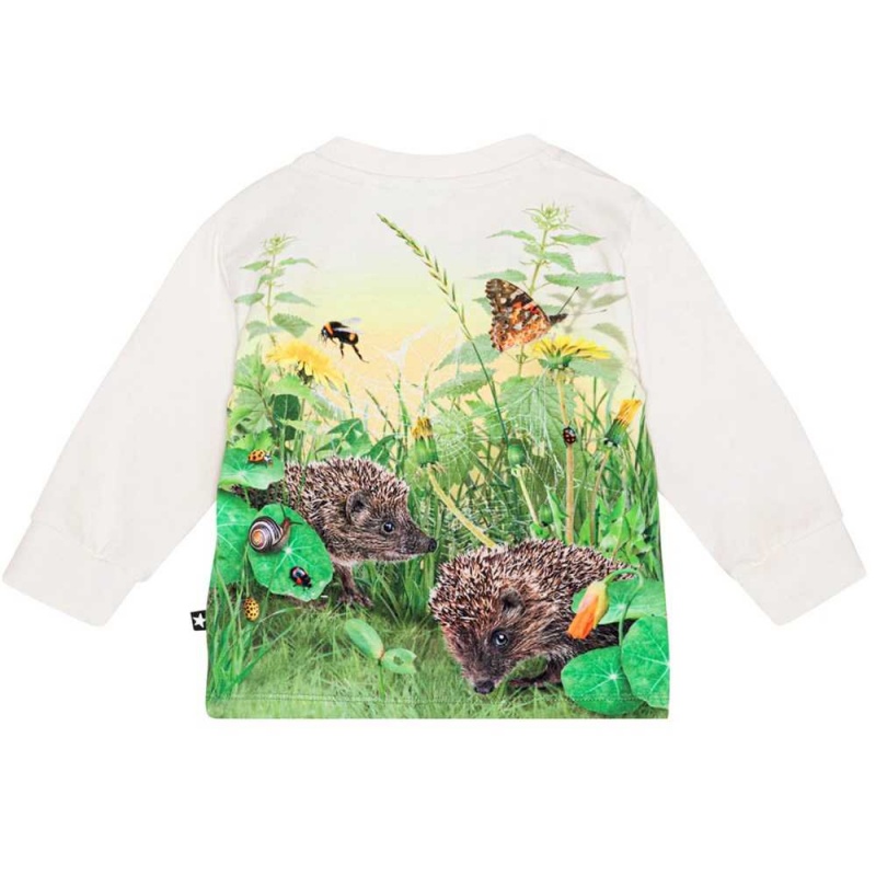 Molo Eloy T Shirts Tops Pojke Living Garden | SE0001417