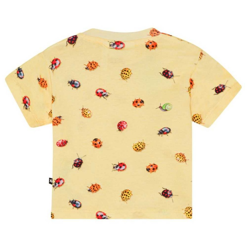 Molo Enzo T Shirts Tops Flicka Coccinella | SE0001430