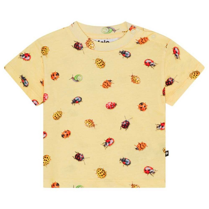 Molo Enzo T Shirts Tops Flicka Coccinella | SE0001430