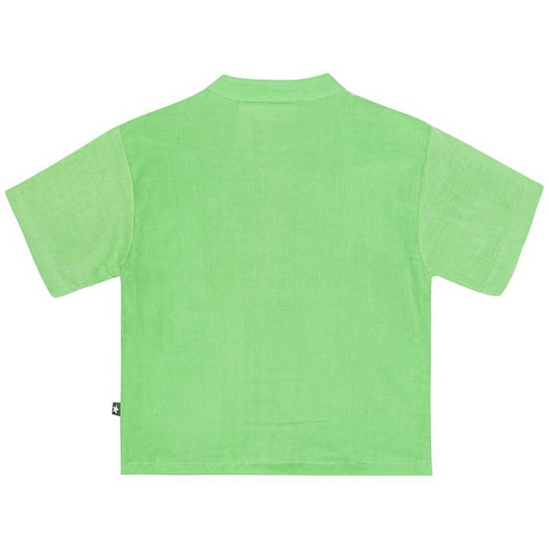 Molo Ever T Shirts Tops Pojke Grass Green | SE0001419