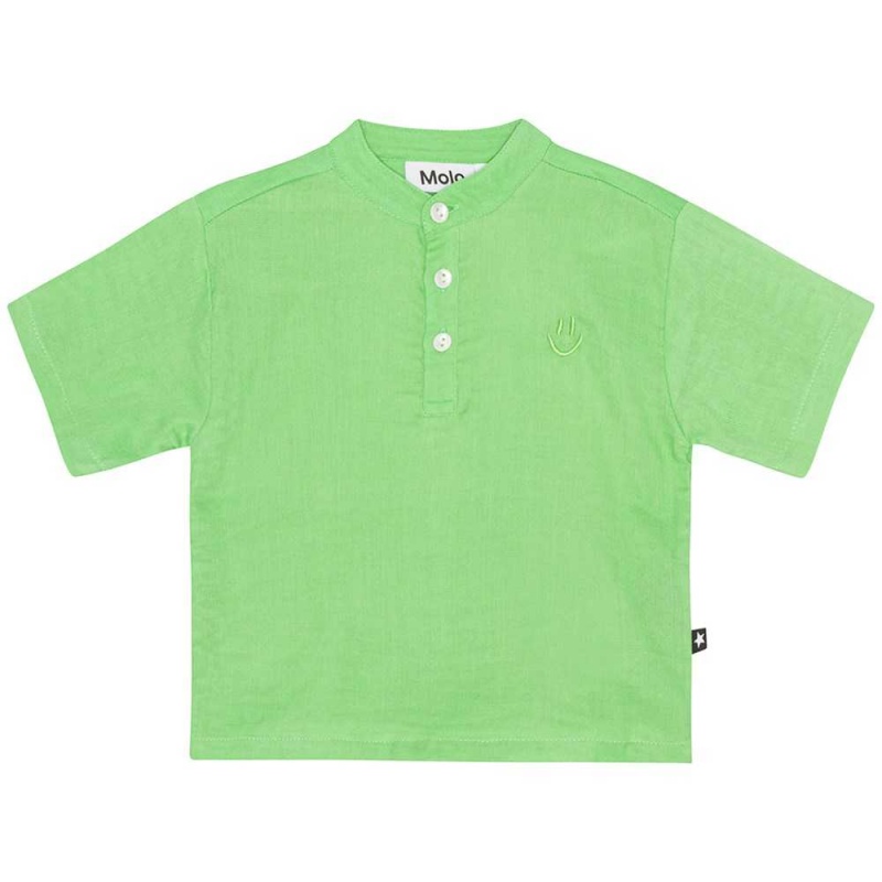 Molo Ever T Shirts Tops Pojke Grass Green | SE0001419