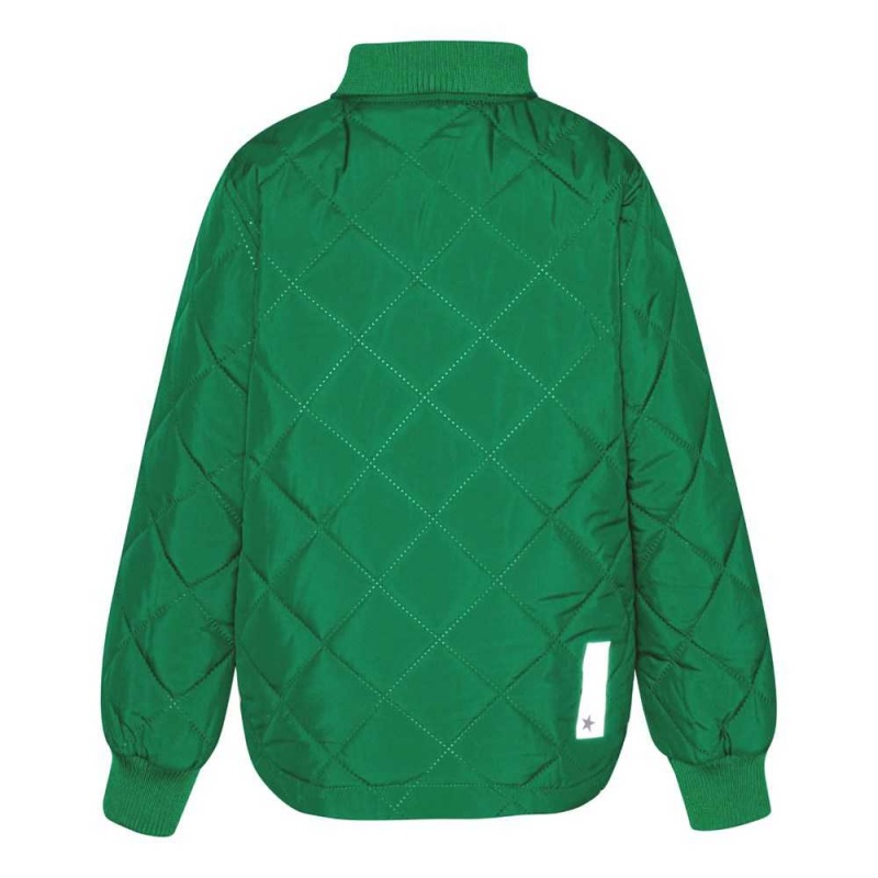 Molo Hallow Fleece Softshell Vivid Green | SE0000146