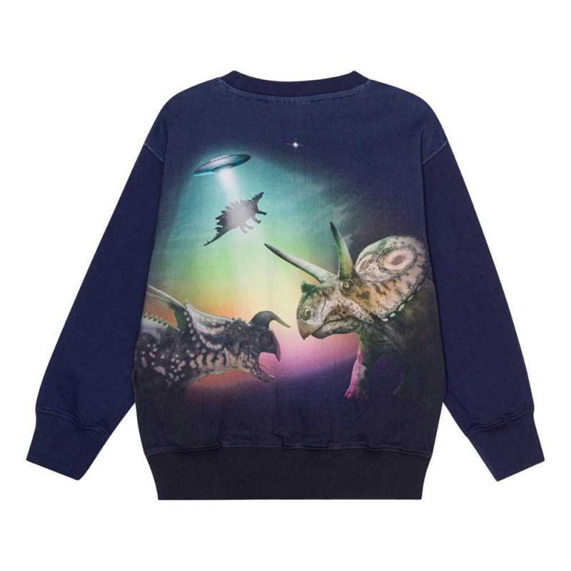 Molo Mattis Sweatshirts Cardigans Pojke Beam Up Dinos | SE0000755