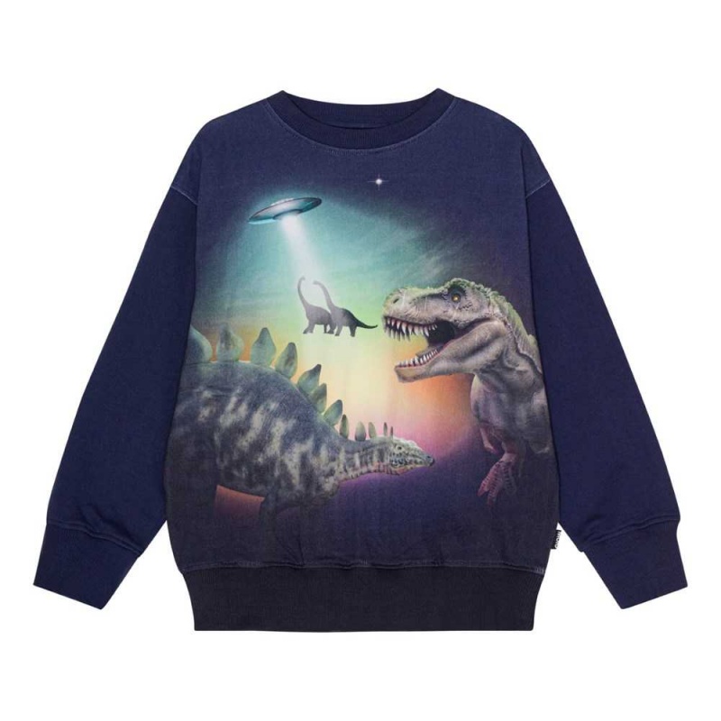 Molo Mattis Sweatshirts Cardigans Pojke Beam Up Dinos | SE0000755