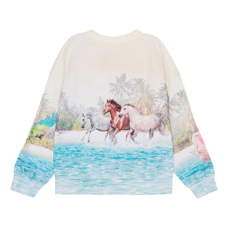 Molo Maxi Sweatshirts Cardigans Flicka Island Horse | SE0000469