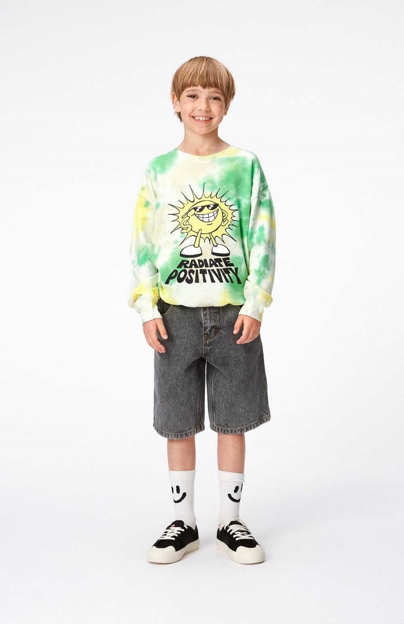 Molo Memphis Sweatshirts Cardigans Pojke Garden Dye | SE0000749