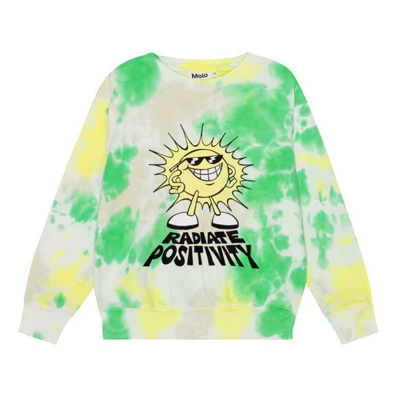 Molo Memphis Sweatshirts Cardigans Pojke Garden Dye | SE0000749