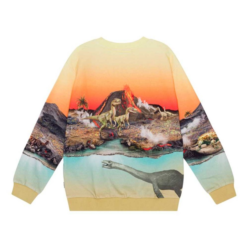 Molo Miksi Sweatshirts Cardigans Pojke Volcano Dinos | SE0000743