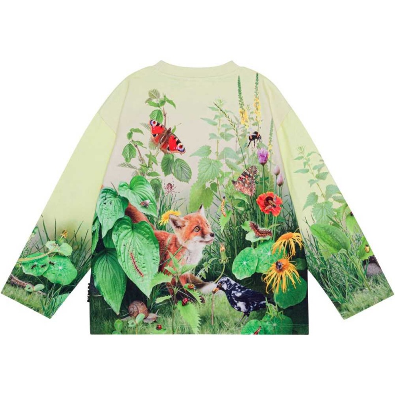 Molo Mountoo Sweatshirts Cardigans Pojke Wild Garden | SE0000754