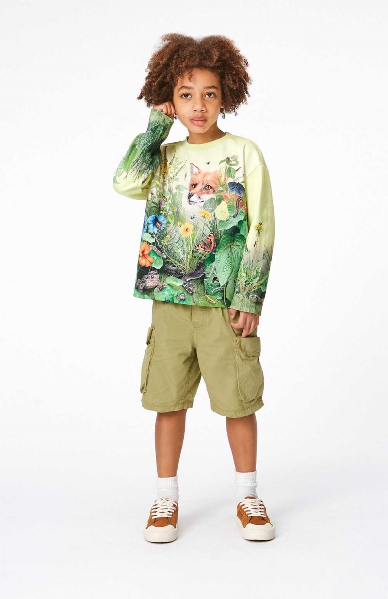 Molo Mountoo Sweatshirts Cardigans Pojke Wild Garden | SE0000754