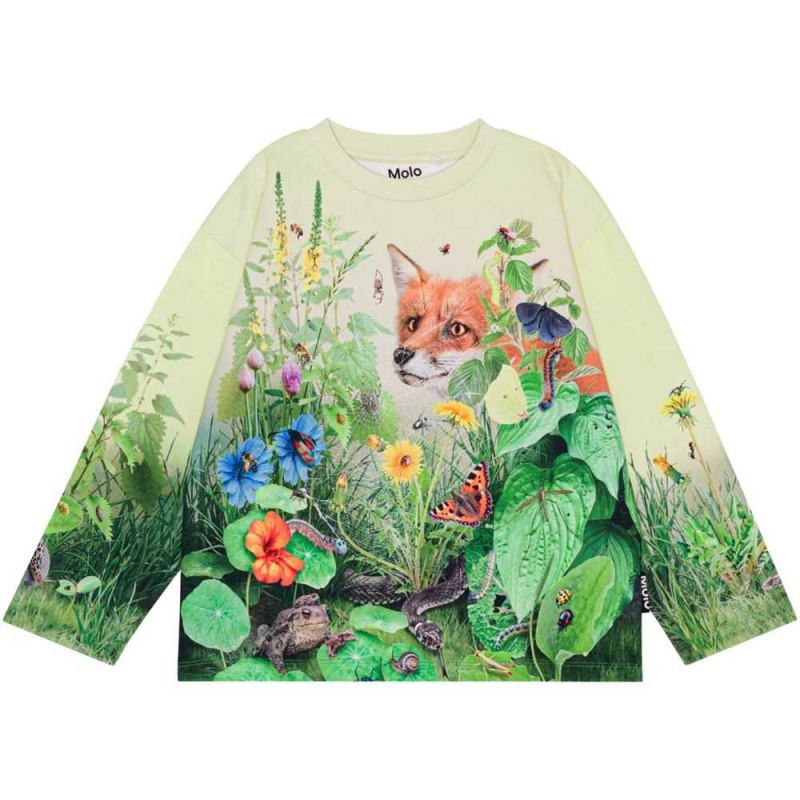 Molo Mountoo Sweatshirts Cardigans Pojke Wild Garden | SE0000754