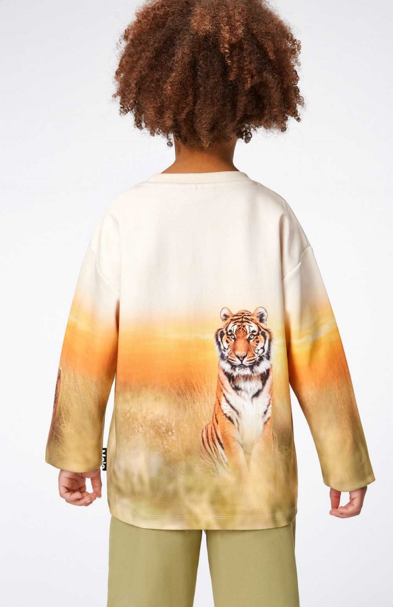 Molo Mountoo Sweatshirts Cardigans Pojke Sunrise Tiger | SE0000767