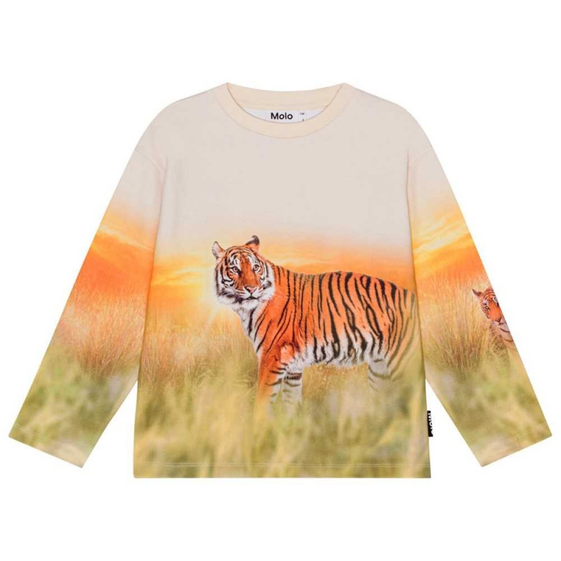 Molo Mountoo Sweatshirts Cardigans Pojke Sunrise Tiger | SE0000767