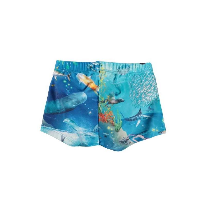 Molo Nansen Badshorts & Boardies Ocean Zones | SE0001138