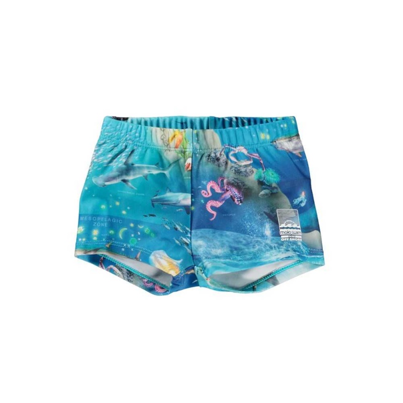 Molo Nansen Badshorts & Boardies Ocean Zones | SE0001138