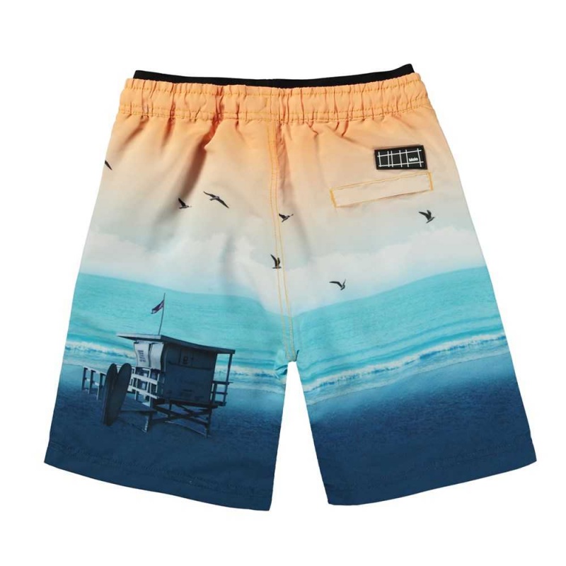 Molo Neal Badshorts & Boardies Sunset Beach | SE0001147