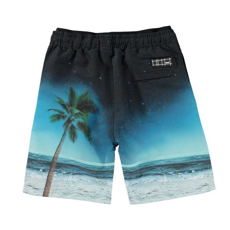 Molo Neal Badshorts & Boardies Sunset Surfer | SE0001124