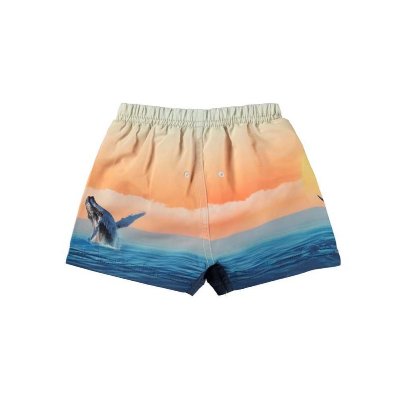 Molo Newton Badshorts & Boardies Ocean Smile | SE0001149