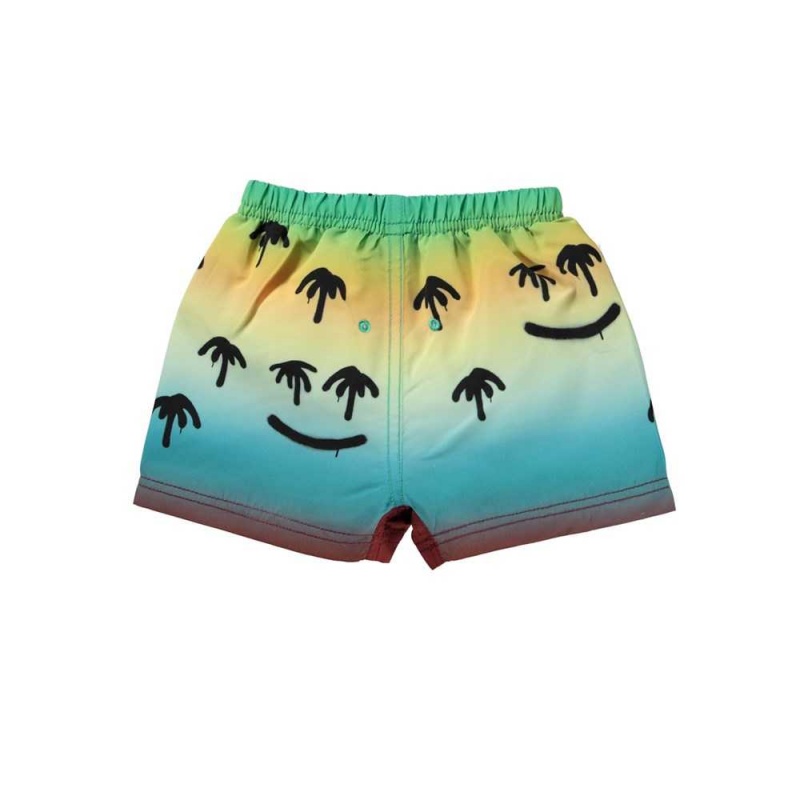 Molo Newton Badshorts & Boardies Palm Spray | SE0001118