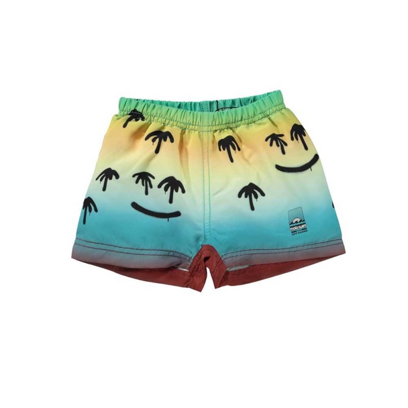 Molo Newton Badshorts & Boardies Palm Spray | SE0001118