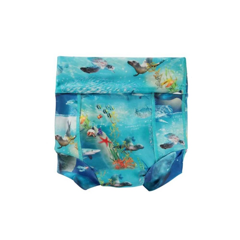 Molo Nick Badshorts & Boardies Ocean Zones | SE0001135