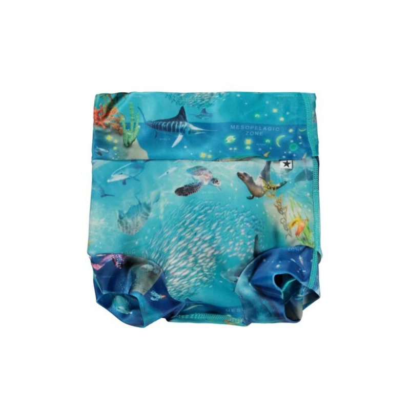 Molo Nick Badshorts & Boardies Ocean Zones | SE0001135