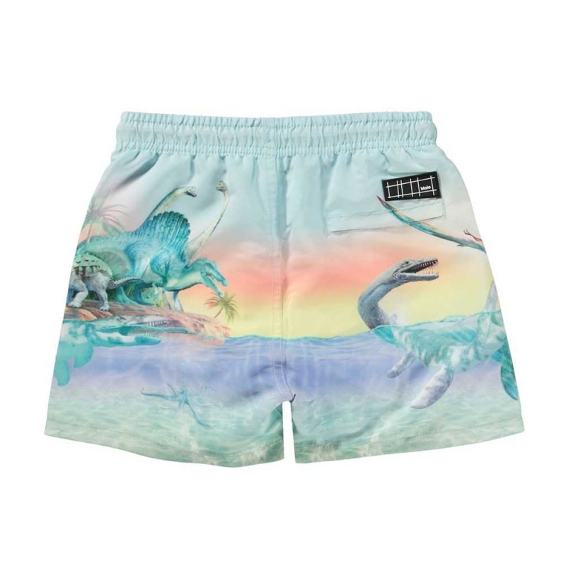 Molo Niko Badshorts & Boardies Ancient Island | SE0001134