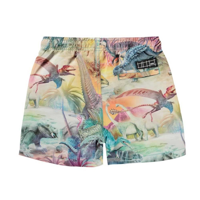 Molo Niko Badshorts & Boardies Dino Paradis | SE0001132