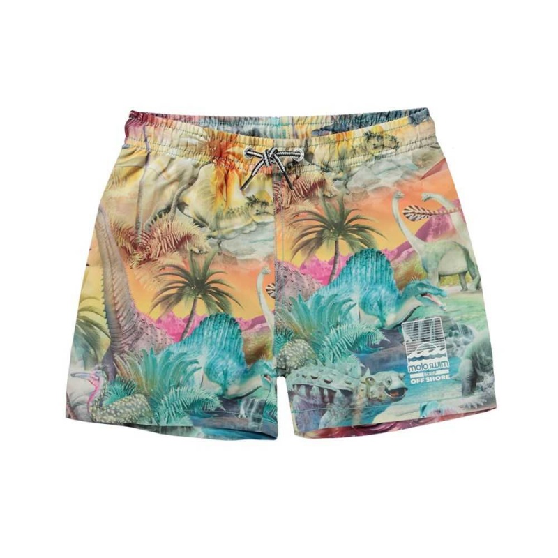 Molo Niko Badshorts & Boardies Dino Paradis | SE0001132