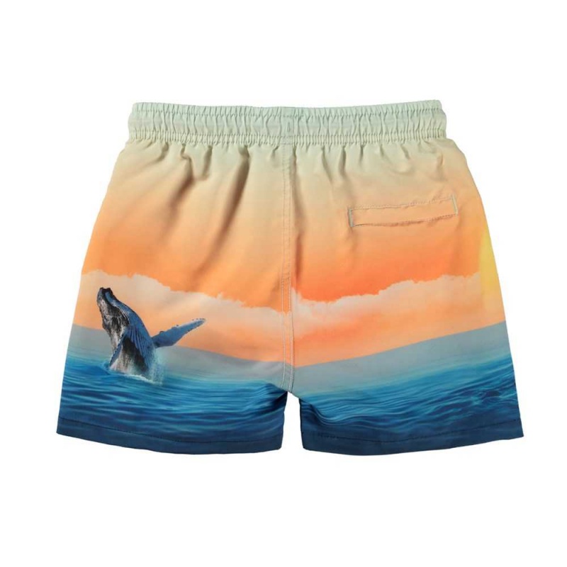 Molo Niko Badshorts & Boardies Ocean Smile | SE0001143