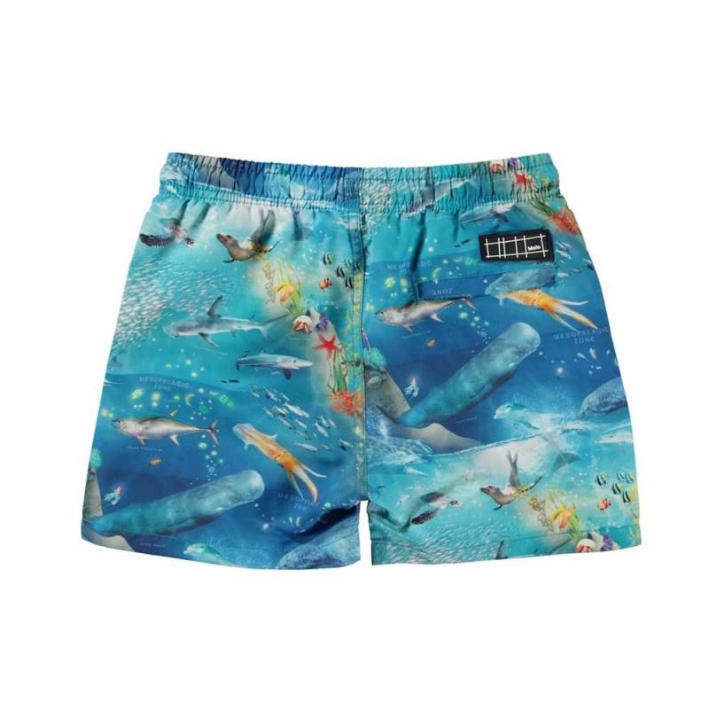 Molo Niko Badshorts & Boardies Ocean Zones | SE0001137