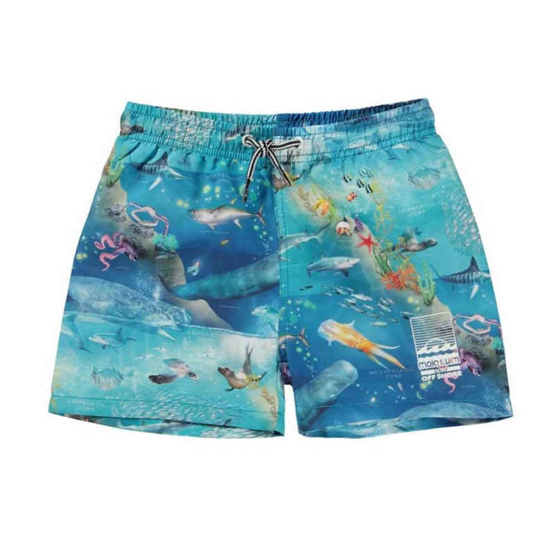 Molo Niko Badshorts & Boardies Ocean Zones | SE0001137