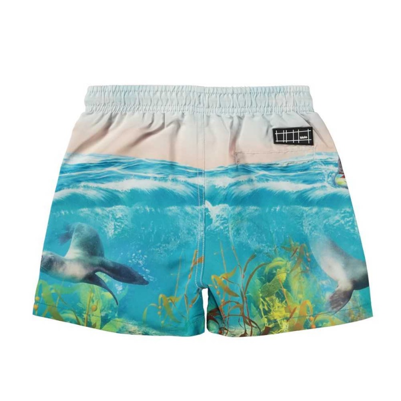 Molo Niko Badshorts & Boardies Sealion | SE0001116