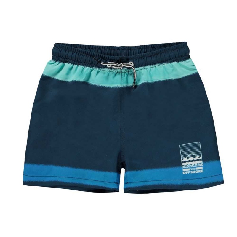 Molo Niko Badshorts & Boardies Spray On Navy | SE0001122