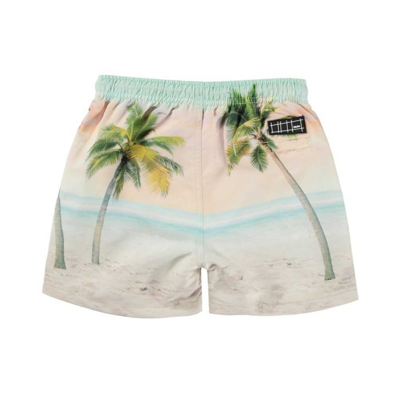 Molo Niko Badshorts & Boardies Sunrise Surfer | SE0001120