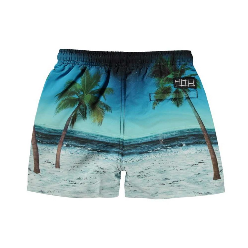 Molo Niko Badshorts & Boardies Sunset Surfer | SE0001121