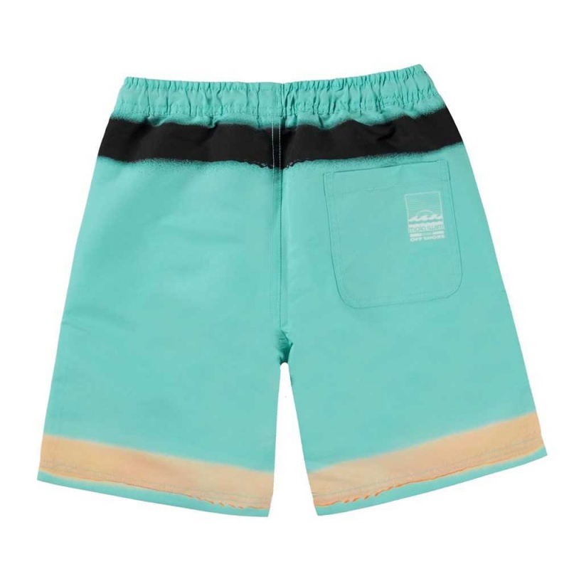 Molo Nilson Badshorts & Boardies Spray On Aqua | SE0001125