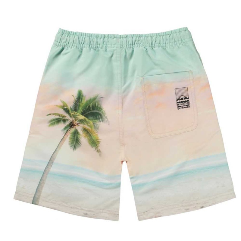 Molo Nilson Badshorts & Boardies Sunrise Surfer | SE0001123