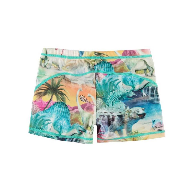 Molo Norton Badshorts & Boardies Dino Paradis | SE0001133